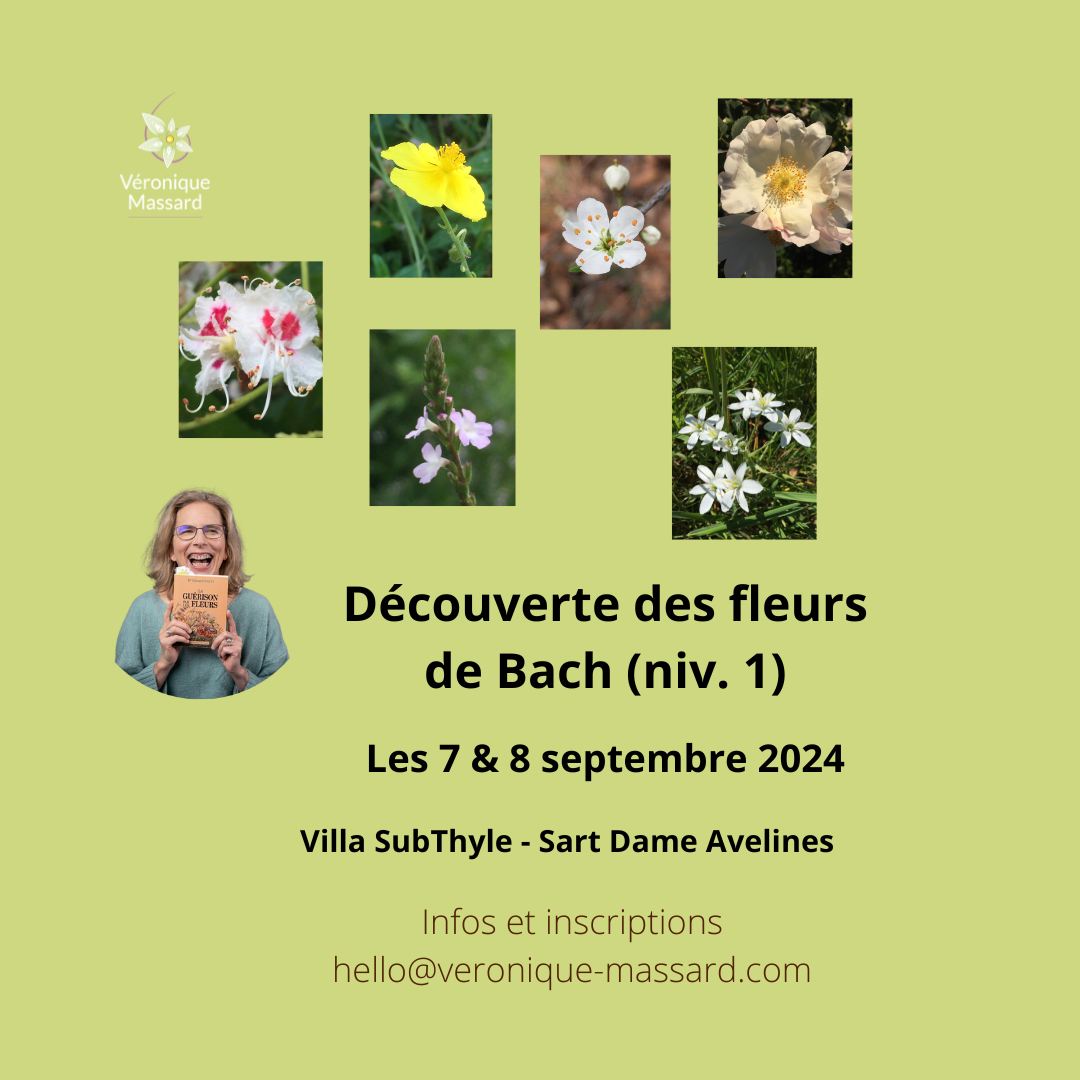 Formation fleurs de Bach