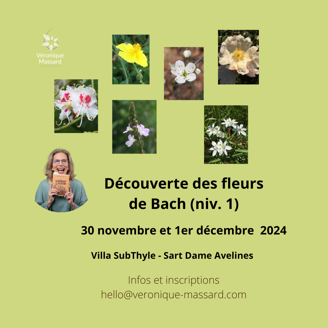 Fleurs de Bach - Formation - Villa Subthyle - Villers-la-Ville