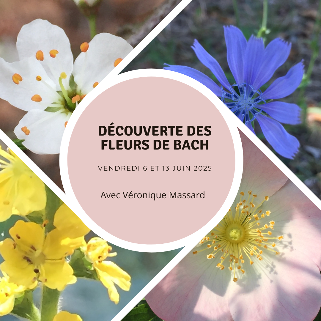 Formation - fleurs de Bach - Niveau 1 - Découverte