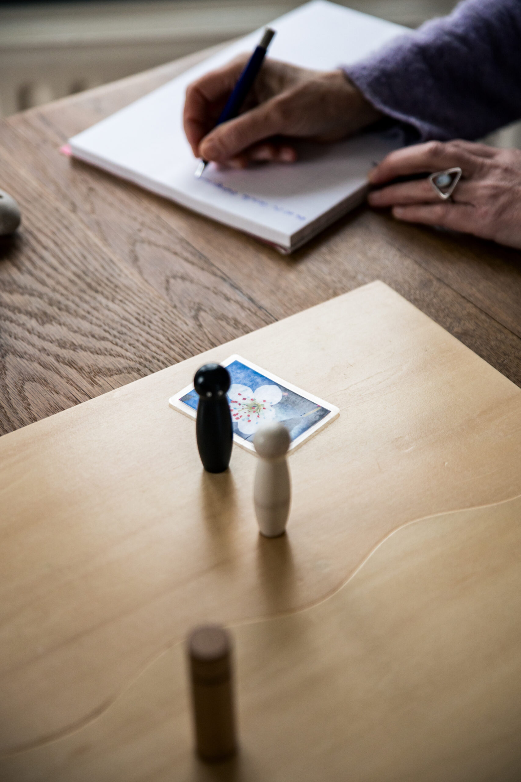 Constellations familiales, fleurs de Bach, constellations systémiques